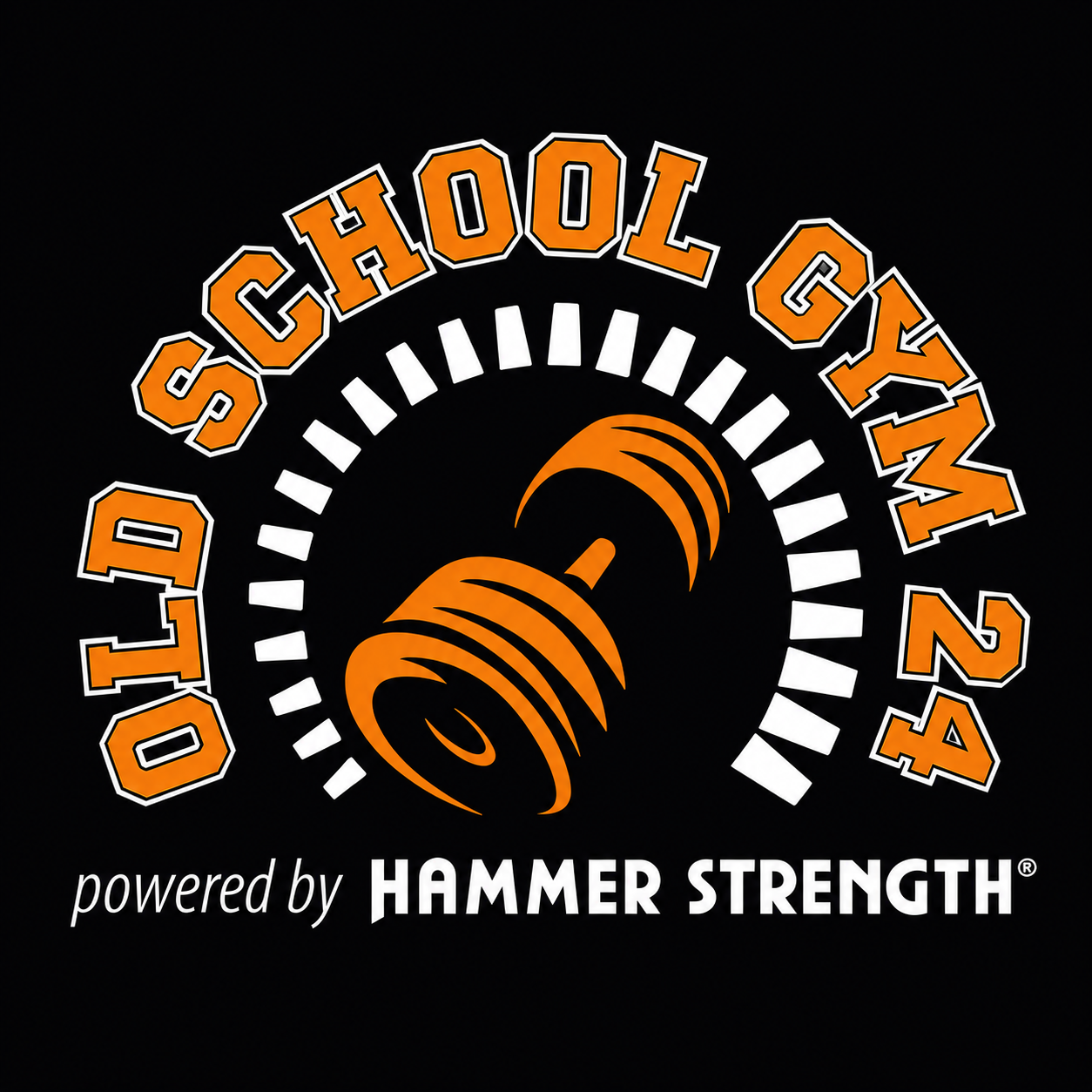 OLD SCHOOL GYM 24 — powered by HAMMER STRENGTH